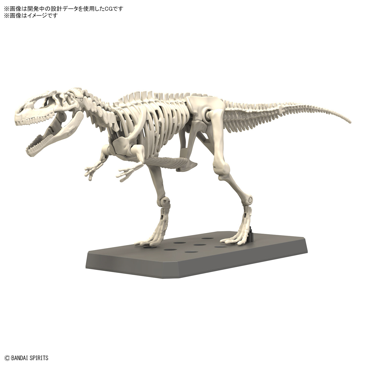 In Stock Originate BANDAI PLAN - Model Kit Dinosaur Bandai recensie en prijs