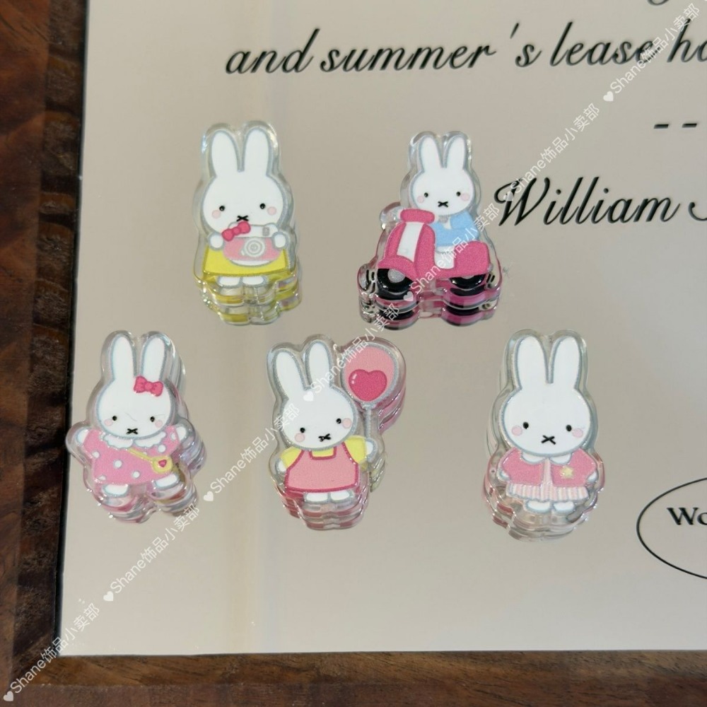 Acrylic Miffy Rabbit Beads DIY - Model Kit Mobil recensie en prijs