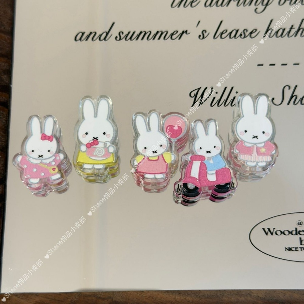 Acrylic Miffy Rabbit Beads DIY - Model Kit Mobil recensie en prijs