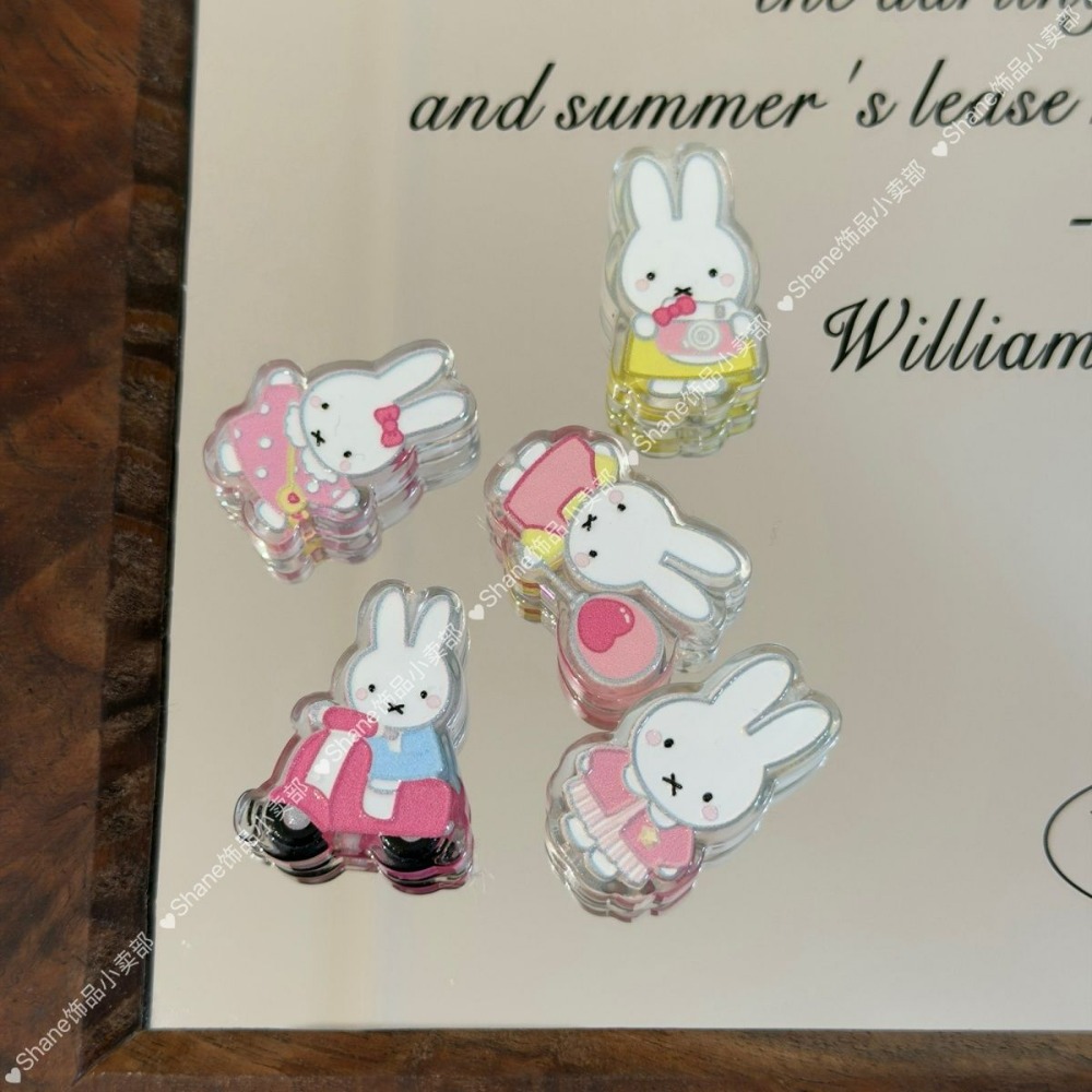 Acrylic Miffy Rabbit Beads DIY - Model Kit Mobil recensie en prijs